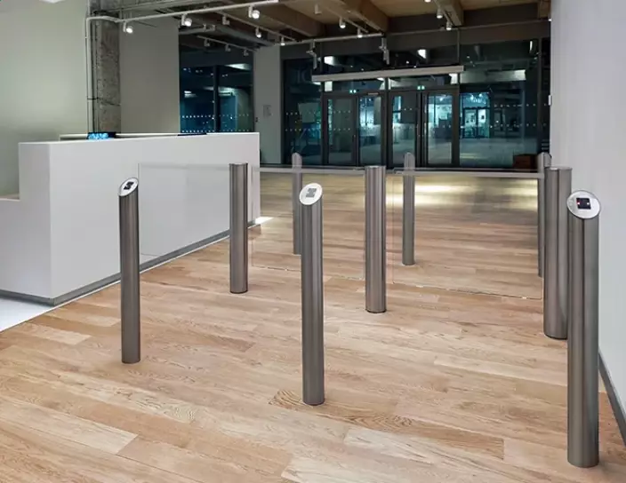 WMD-06 Motorized swing gates,  IRP-01 Reader posts, Institute of Fashion, France