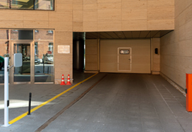 BC Senator, Saint-Petersburg