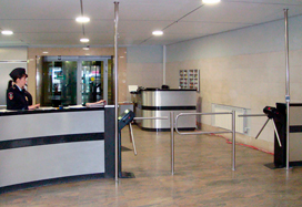 Public institution, Saint-Petersburg